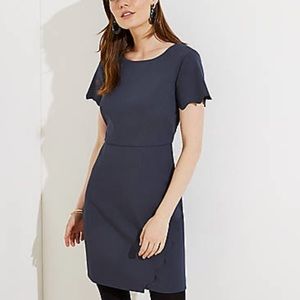NWOT LOFT Scalloped Sheath Dress